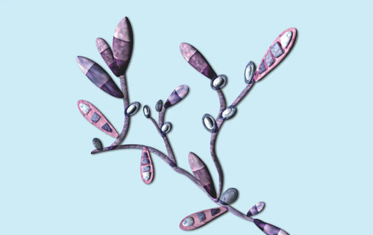 Dermatofiti - uzročnici gljivičnih infekcija