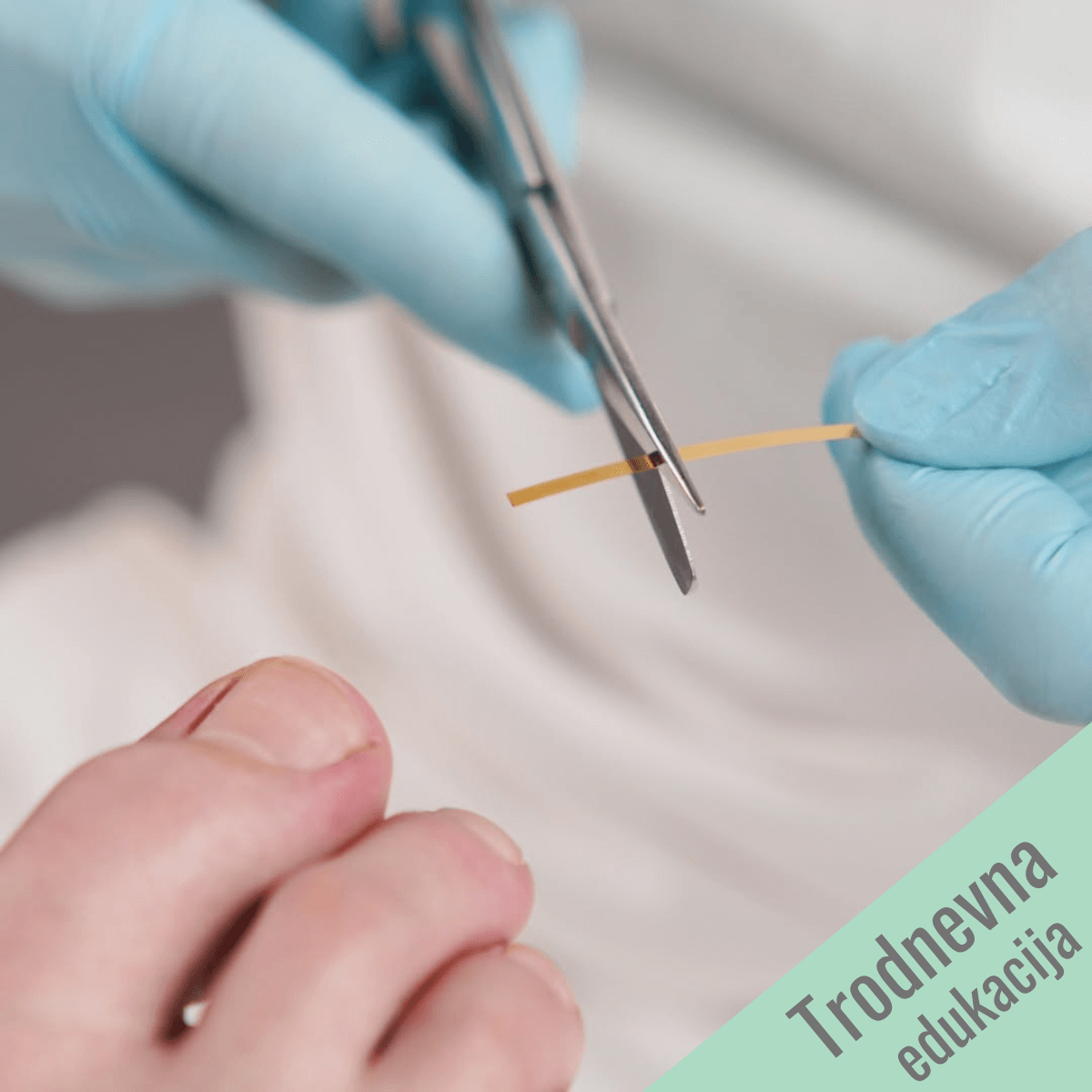 Vaučer za trodnevnu edukaciju Urasli nokat + Goldstadt 3 sistema kopči